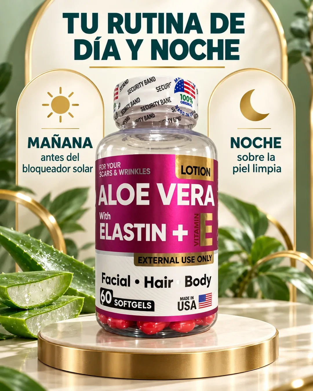 Rutina de día y de noche