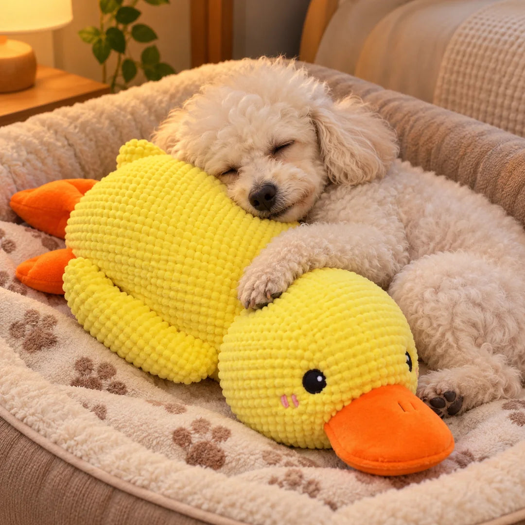 Perro pequeño dormido abrazado al pato de peluche