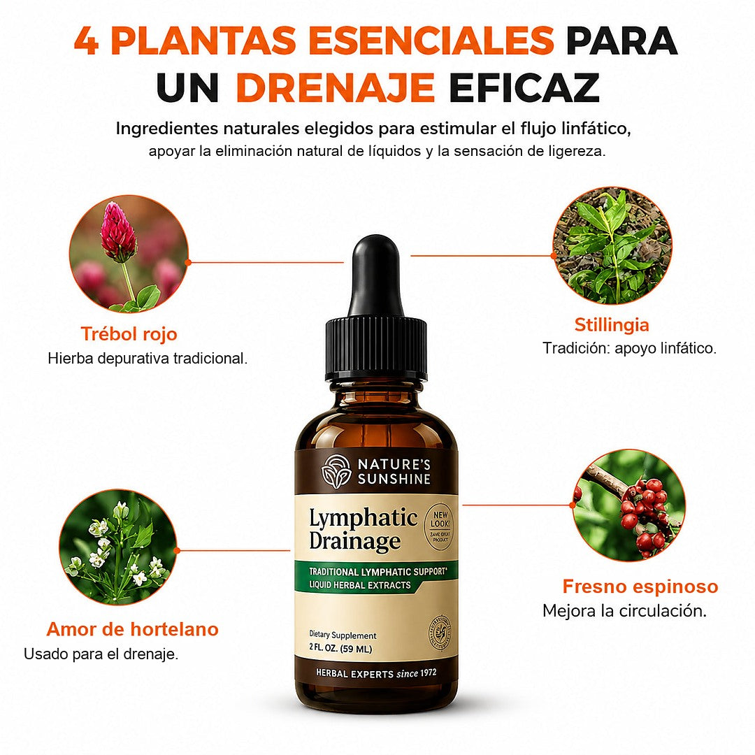 Las cuatro plantas de la fórmula: trébol rojo, Stillingia, amor de hortelano y fresno espinoso