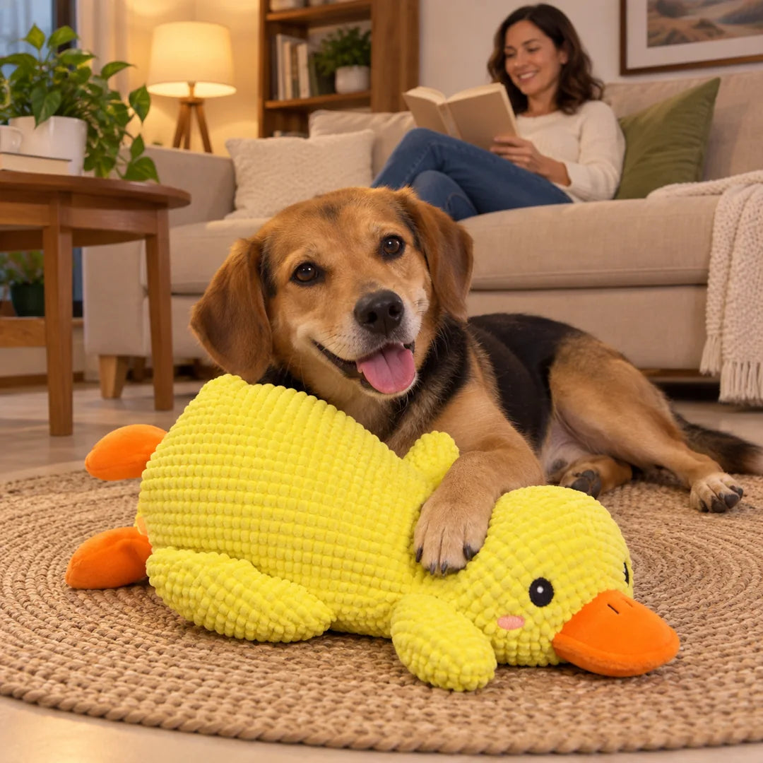 Perro tranquilo con su pato de peluche frente a un sofá intacto
