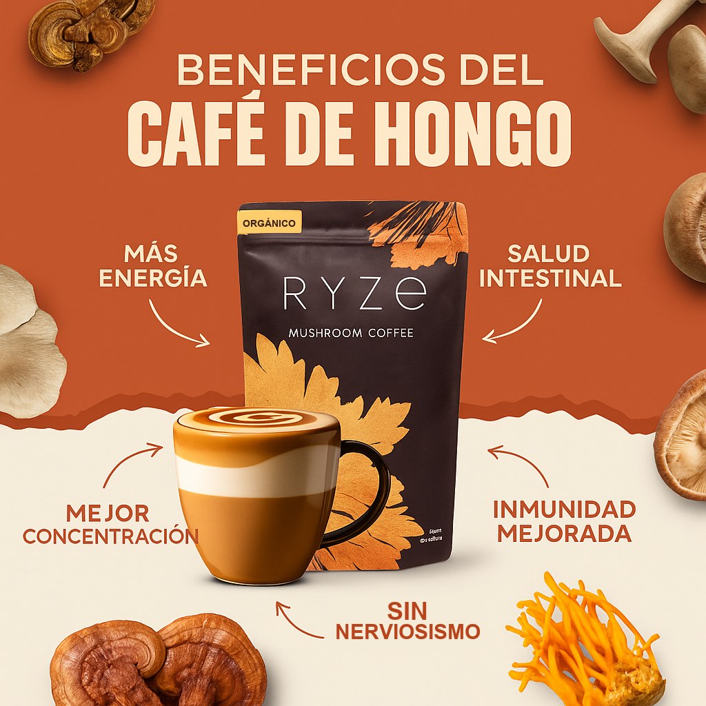 Beneficios del café de hongo: más energía, mejor concentración, salud intestinal e inmunidad
