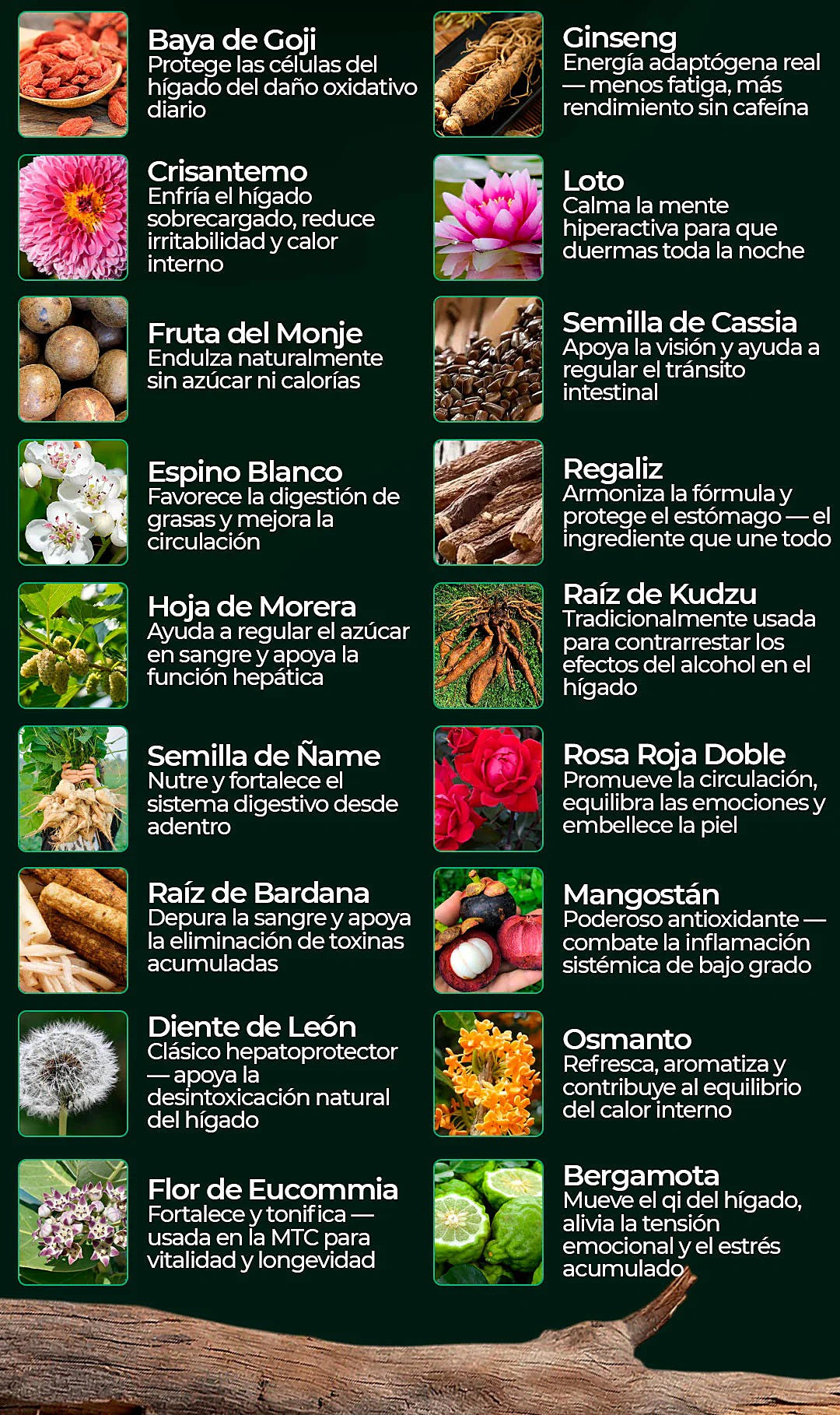 Los 18 ingredientes de la fórmula y su uso tradicional